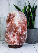 Himalayan Secrets LARGE Salt Lamp - Natural Pink Crystal with Wooden Base - Dimmer Cord and Bulb included (18-22 LBS) by CozyNest Decor