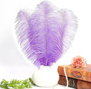 THARAHT Lavender Ostrich Feathers 12pcs Large Natural Bulk 12-14Inch 30cm-35cm for Wedding Party Centerpieces Easter Gatsbi and Decoration Feather by CozyNest Decor