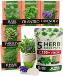 HOME GROWN 5 Herb Seeds for Planting 2,150+ Non-GMO Heirloom Seeds | Extra Large Variety Pack Herb Kit – Indoor Outdoor & Hydroponic | Culinary Seed Set | Grow Your Own Herbs | Gift for Beginners by GreenHaven Gardens