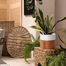 8 Inch Self-Watering Planter Pot with Terracotta Insert, Deep Water Reservoir, and Ceramic-Alike BPA-Free Plastic Planter Pot for Plant, Modern Planter for Houseplants, Terracotta/White, 53-B-T-6 by CozyNest Decor