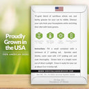 Cat Grass Seed for Planting - 5 Packets with Instructions to Plant & Grow Greens for Your Pet Indoors or Outdoors in a Container or Garden - Non-GMO Heirloom Variety - Survival Garden Seeds by GreenHaven Gardens