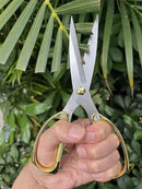Japanese Garden Clippers, Houseplant plant shears, Floral Pruner Botanical Flower Stem scissors, Gardening Shears with Straight Stainless Steel Blades, Easy Use Garden Tools (golden-k26) by GreenHaven Gardens
