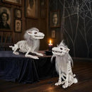 DR.DUDU 2 Pack Halloween Skeleton Wolf Decorations, Life Size Animals Skeletons Poseable Halloween Decor Plastic Bones with Hair Wolf Skull Figurines for Table Yard Lawn Party Props Décor by CozyNest Decor