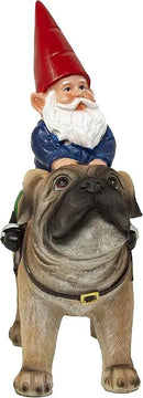 Funny Guy Mugs Garden Gnome Statue - Gnome Riding a Pug - Indoor/Outdoor Garden Gnome Sculpture for Patio, Yard or Lawn by GreenHaven Gardens