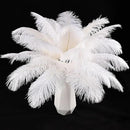 THARAHT White Ostrich Feathers 12pcs Natural Bulk 8-10Inch 20cm-25cm for Crafts Wedding Party Centerpieces Christmas Tree Decoration Feathers by CozyNest Decor