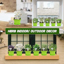 10 Herb Seeds Garden Starter Grow Kit with Green Pots, Markers, Nutritional Soil, Watering, Herb Clipper, Complete Indoor Potted Plant Growing Set for Kitchen DIY by GreenHaven Gardens