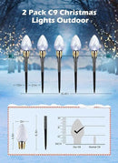 Brightown 2 Pack Strawberry C9 Christmas Pathway Lights Outdoor - Total 34.8 Feet 20 LED C9 Walkway Lights, Clear Bulb Christmas Lights Outdoor Decorations for Lawn Holiday Yard, Pure White by GreenHaven Gardens