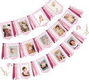 Pink One Silly Goose 1st Birthday Photo Banner Garland from Newborn to 12 Months Paper Photo Banner with Gradient Pink Ribbon for Monthly Milestones Baby Girl First Birthday Party Decorations Supplies by TinyTreasures Baby Boutique