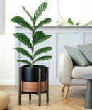D'vine Dev Ceramic Planter with Walnut Color Stand - 12 Inch Modern Round Flower Pot with Wood Planter Holder, Black/Speckled Tan, 55-B-W-7 by GreenHaven Gardens