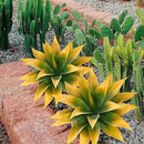 Artificial Agave Plants,Large UV Resistant Fake Agave Planters for Indoor and Outdoor Decorating Tropical Plant Succulents Greenery Indoor Decor (2Pack,18" Yellow) by GreenHaven Gardens