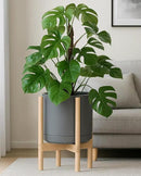 D'vine Dev Ceramic Planter with Natural Stand - 12 Inch Modern Round Flower Pot with Wood Planter Holder, Grey, 55-B-J-3 by CozyNest Decor