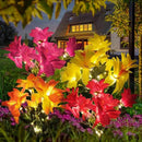 4 Pack Outdoor Solar Garden Decor Lights, Waterproof Solar Powered Hydrangea Lotus Flower Lights Bright Up to 12 Hrs,Led Flowers for Yard Patio Lawn Decorative (Solar Flowers Style 5) by GreenHaven Gardens