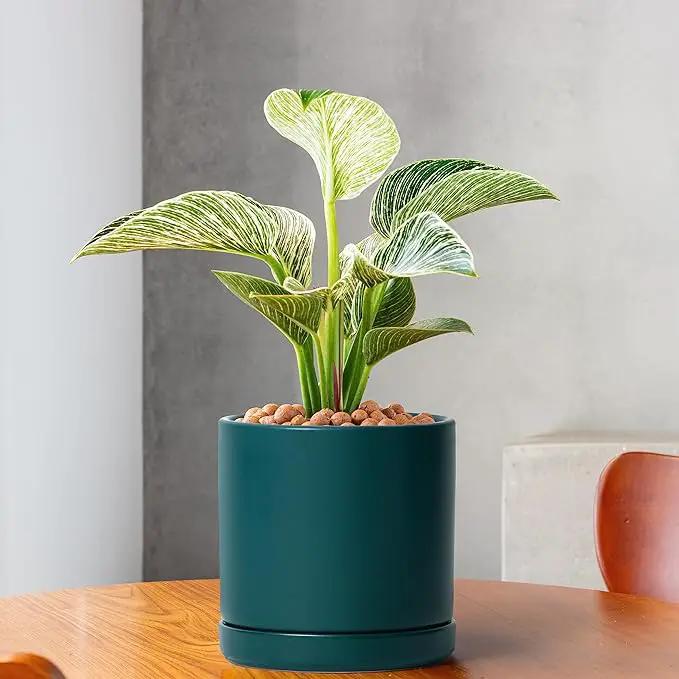 D'vine Dev Set of 2 Plants Pots, 6 Inch Ceramic Planter Pot for Plants with Drainage Hole and Saucer, Teal, 94-V-C-9, photo 5 of 7