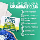 Sudstainables Laundry Detergent Sheets (60 Loads) – Eco-Friendly, Zero Waste, Plastic-Free Laundry Washing Machines Soap Sheets; Dissolvable, Space-Saving Strips for Travel (Lemon) by CozyNest Decor