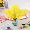 THARAHT Yellow Ostrich Feathers 12pcs Natural Bulk 8-10Inch 20cm-25cm for Crafts Wedding Party Centerpieces Halloween and Home Decoration Feathers by CozyNest Decor