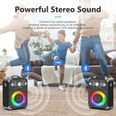 Karaoke Machine with 2 Wireless Microphones for Adults, Portable Bluetooth Party Speaker with Echo Adjustment, Singing Machine Support TWS/USB/TF Card/Guitar/TV Connected for Outdoor/Events etc by TinyTreasures Baby Boutique