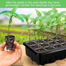 Lunies 6 Packs Seed Starter Trays with Grow Light, Seeding Starter Tray with Adjustable Humidity Dome, Base Indoor Greenhouse Germination Kit for Seed Growing Starting(12 Cells per Tray, Black) by GreenHaven Gardens