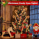 12 Pack Christmas Candy Cane Lights Outdoor Solar Pathway Lights Christmas Decorations Waterproof Driveway Walkway Markers Yard Garden Home Xmas Decor, 2-in-1 Rechargeable Solar Power by GreenHaven Gardens