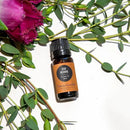 Edens Garden Good Morning Essential Oil Blend- 100% Pure Premium Grade, Undiluted, Natural, Therapeutic, Aromatherapy, The Best for Diffusing, Skin, Candle, Humidifiers 10 ml (.33 fl oz) by CozyNest Decor
