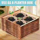 Indoor Daisy Garden Starter Kit, 4 Flower Seeds Growing into Shasta Daisy, Cornflower, Sunflower, Zinnia, Including Complete Gardening Tools, Christmas Gifts for Women Men & Beginners by GreenHaven Gardens