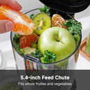 AMZCHEF Cold Press Juicer, Juicers Machines - 5.4" Large Feed Chute for Whole Fruits & Vegetables, Stainless Steel Slow Masticating Juice Easy to Clean, Large Auger, Triple Strainers, Silver by CozyNest Decor