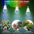 Grow Light Bulbs E12 Candelabra Small Screw Base for Indoor Plants Full Spectrum,Grow LED Light Bulb 10W with Balanced Spectrum 5000K Blue Red for Seeds Greens Laboratory,School,Greenhouse Garden,6Pcs by GreenHaven Gardens
