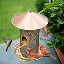Bird Feeder for Outdoor, Metal Wild Bird Feeder Hanging Outside, 7.5" Copper Roof and 360 Degree Feeding Tray with 2 Extra Feeding Ports, 3 Lbs Bird Seeds Capacity by CozyNest Decor