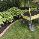 Fantastic Deal - 12 Bare Roots Hosta Plants - Mixed Heart-Shaped Hosta - Rich Green Foliage, Low Maintenance, Heart Shaped Leaves - Indoor and Outdoor