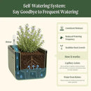 Vego Garden Herb Indoor Plant Box, Self Watering Planters Pots for Indoor Plants with Trellis for Kitchen Window Sill or Countertop Plants Cage - Fog Gray by GreenHaven Gardens