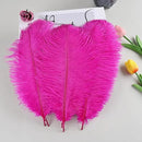 THARAHT Hot Pink Ostrich Feathers 12pcs Natural Bulk 8-10Inch 20cm-25cm for Crafts Wedding Party Centerpieces Easter Gatsbi and Home Decoration Feathers by CozyNest Decor