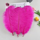 THARAHT Hot Pink Ostrich Feathers 24pcs Natural Bulk 8-10Inch 20cm-25cm for Crafts Wedding Party Centerpieces Easter Gatsbi and Home Decoration Feathers by CozyNest Decor