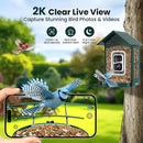 SOLIOM Solar Bird Feeder with Camera for Outdoors - AI Smart Birdhouse, 2K Live View & Instant Alerts, Squirrel Proof - Perfect Bird Watching Gift (Green) by GreenHaven Gardens