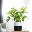 D'vine Dev 6.5 Inch Ceramic Planter Pot with Drainage Hole and Saucer, Indoor Cylinder Round Planter Pot, Layered Monochrome Black & White, 94-O-C-L by GreenHaven Gardens