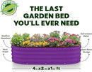 Galvanized Raised Garden Beds Outdoor // 4×2×1 ft Planter Raised Beds for Gardening, Vegetables, Flowers // Large Metal Garden Box (Purple) // Patented Tool-Free Design by GreenHaven Gardens