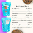 Grubbly Farms Omega Mix Chicken Treats for Laying Hens - Superfood and Omega-Rich Chicken Feed Supplement to Support Egg Production, Strong Eggshells and Nutritious Yolks - 1LB by GreenHaven Gardens