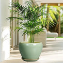 8 Inch Plant Pot - Ceramic Planter for Outdoor Plants Indoor Plant Pot with Drainage Hole and Saucer Mid-Century Round Planter Flower Pot for House Garden Green by GreenHaven Gardens