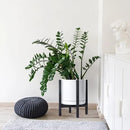 D'vine Dev Ceramic Planter with Ebony Stand - 12 Inch Modern Round Flower Pot with Wood Planter Holder, White, 55-B-H-1 by CozyNest Decor
