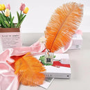 THARAHT Orange Ostrich Feathers 24pcs Natural Bulk 10-12Inch 25cm-30cm for Crafts Wedding Party Centerpieces Halloween and Home Decoration Feathers by CozyNest Decor