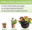 Sunflower, Marigold & Zinnia Flower Seeds Growing Kit – Complete Indoor & Outdoor Kit with Seeds for Planting, Planters, Soil, Tools, Instructions – Ideal for Gift Giving by GreenHaven Gardens