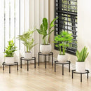 Small Metal Plant Stand indoor - 5 Pack Black Short Flower Pot Stand, Heavy Duty Anti-Rust Iron Shelf for Outdoor Home Patio Garden by GreenHaven Gardens