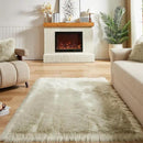 AMTOVO Faux Fur Sheepskin Rug for Living Room, 4 x 6 ft Light Grey Fluffy Area Rug for Bedroom, Playroom, Luxury Room Decor, Rectangle by CozyNest Decor