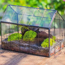 NCYP Geometric Glass Terrarium with Lid for Succulent, Small Cactus - Handmade Clear Closed House Shape Box - Home Indoor Tabletop Garden Decor, Black 9.4" x 5.5" x 7.3" (No Plants) by GreenHaven Gardens