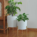 ARNIS Plants Pots with Stand, Set of 2 P lanters, Unique Mid Century Decorative Metal Flower Pots with Drainage, 8.25 & 10.5 Inch, White and Gold by CozyNest Decor