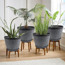 Quarut Large 12 Inch Plant Pot for Plants Outdoor Indoor, 4 Pack Plastic Flower Pots with Drainage Hole & Saucer, Modern Decorative Garden Pot with Saucer, Plant Container for House（Gray） by GreenHaven Gardens