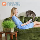 The Cat Ladies Cat Grass Kit Complete with Rustic Wood Planter, Organic Seed and Soil. Easy to Grow - Great for Indoor or Outdoor Cat, Dogs and Other Pets. Prevent Hairballs and Aid Digestion… by GreenHaven Gardens