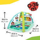 Baby Einstein Farm Explorers 4-in-1 Kickin’ Tunes Musical Meadow Music & Language Discovery Gym, Ages 0 Months and Up by TinyTreasures Baby Boutique