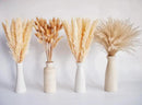Natural Dried Pampas Grass Decor, Beige Pampas Grass, Bunny Tails Dried Flowers, Reed Grass Bouquet for Wedding Boho Flowers Home Table Decor, Rustic Farmhouse Party (100 in Total ) by CozyNest Decor