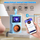 Karaoke Machine for Kids & Adults, Portable Bluetooth Mini Karaoke Speaker with 2 Wireless Microphone and Lights, Birthday Gifts for Girls & Boys, Toys for Girls, Family Home Party (Sky Blue) by TinyTreasures Baby Boutique