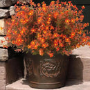 12 Bundles Artificial Fall Flowers No Fade Faux Autumn Plants, Fake Indoor Outdoor Greenery Decorations for Thanksgiving Christmas Wedding Party Home Garden Fireplace Décor (Fall Red) by CozyNest Decor