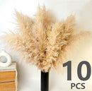 10 PCS 40" Tall Pampas Grass Stems in Natural Beige, Add a Boho Touch to Your Space—Pompas Grass Ideal for Floral Arrangements, Floor Vases, Weddings, and Creating a Bohemian Ambiance at Home. by CozyNest Decor